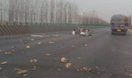 武邑爆料最新消息新闻,重大新闻事件速览